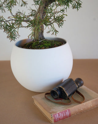 round, white ceramic pot with a bonsai tree on a table with a book