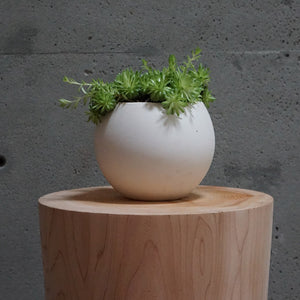 round, white ceramic pot with a green plant sitting on a wood stool
